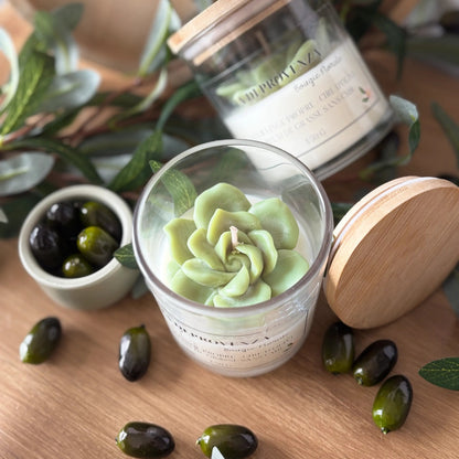 Aria-di-provenza-Cire-olive-5